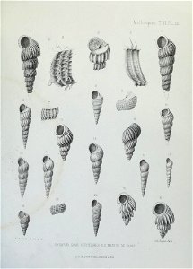 n138_w1150