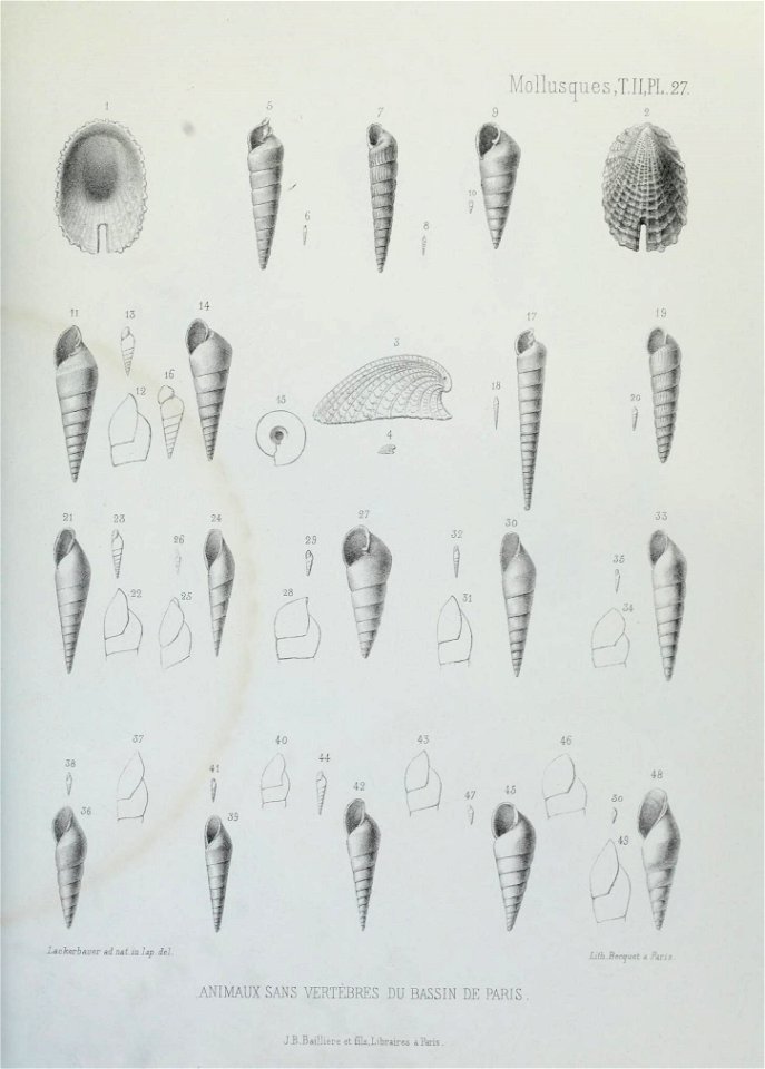 n168_w1150