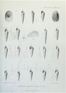 n168_w1150