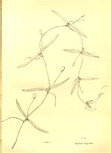 n215_w1150