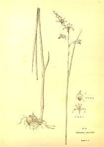 n170_w1150