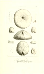 n24_w1150