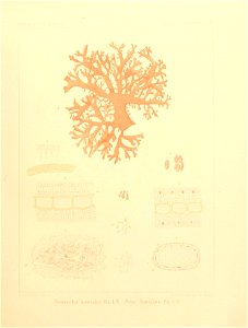 n30_w1150