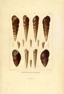 n192_w1150
