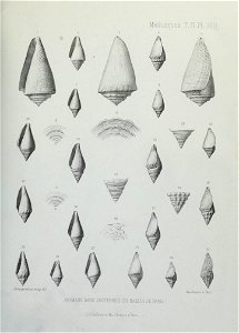 n314_w1150