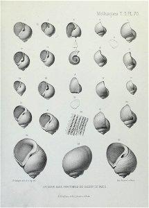 n254_w1150