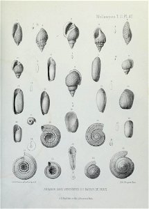 n194_w1150