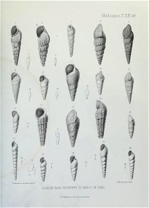 n164_w1150