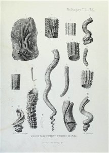 n134_w1150