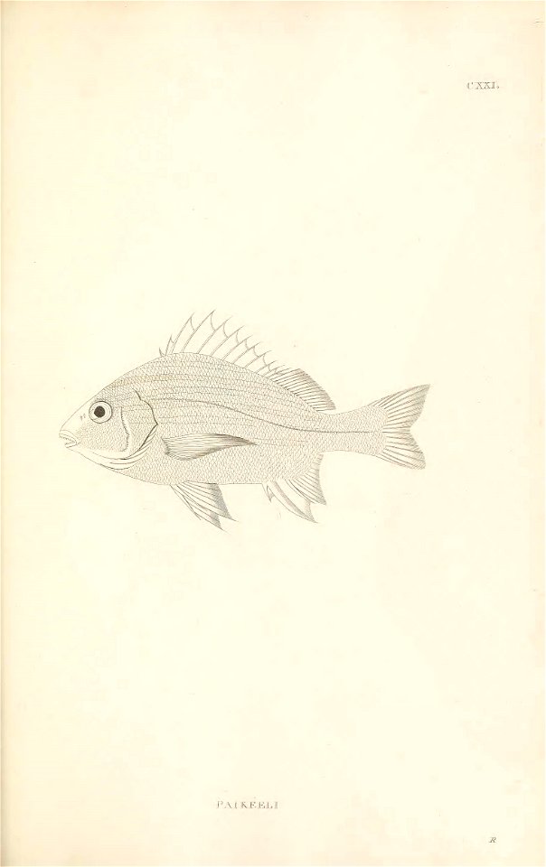 n380_w1150