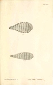 n198_w1150