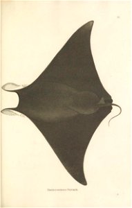 n108_w1150