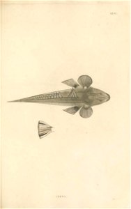 n168_w1150