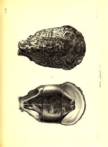 n208_w1150