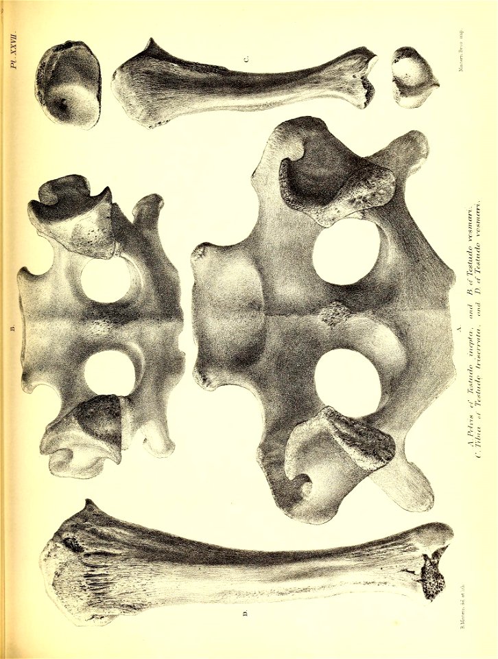 n174_w1150