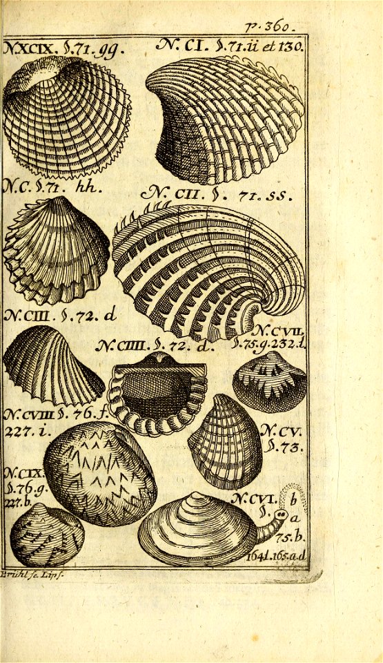 n402_w1150