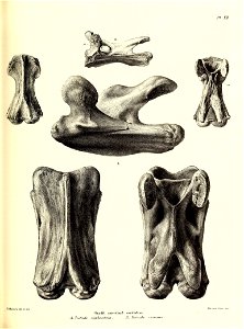 n132_w1150