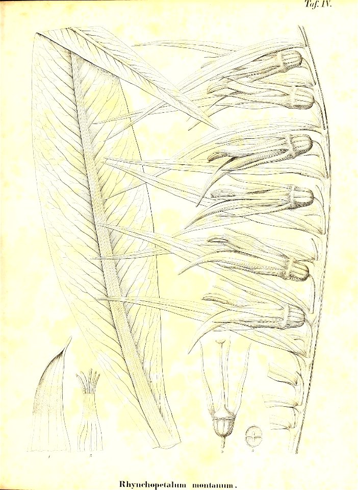 n106_w1150