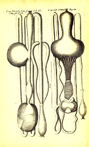 n514_w1150
