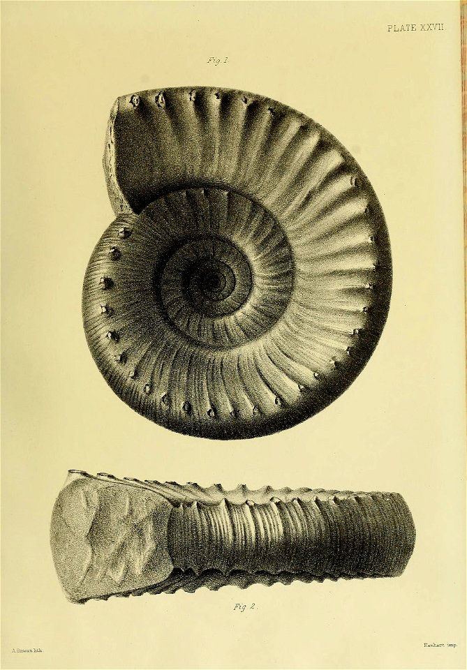 n120_w1150