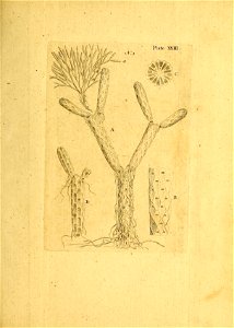 n202_w1150