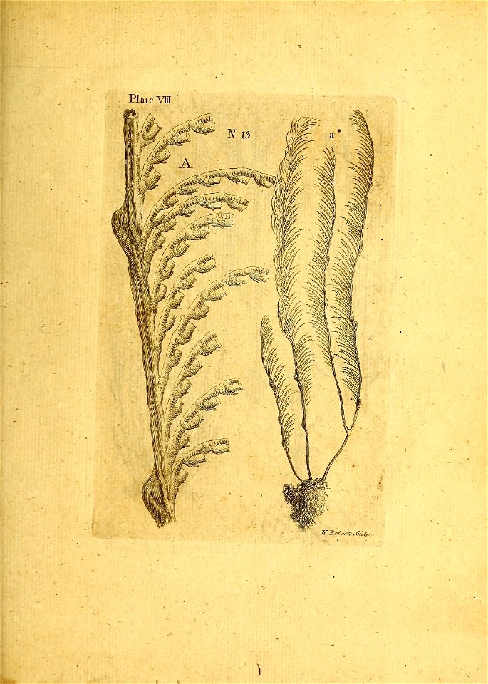 n166_w1150