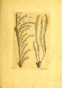 n166_w1150