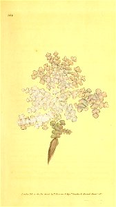 n192_w1150