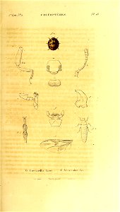 n172_w1150