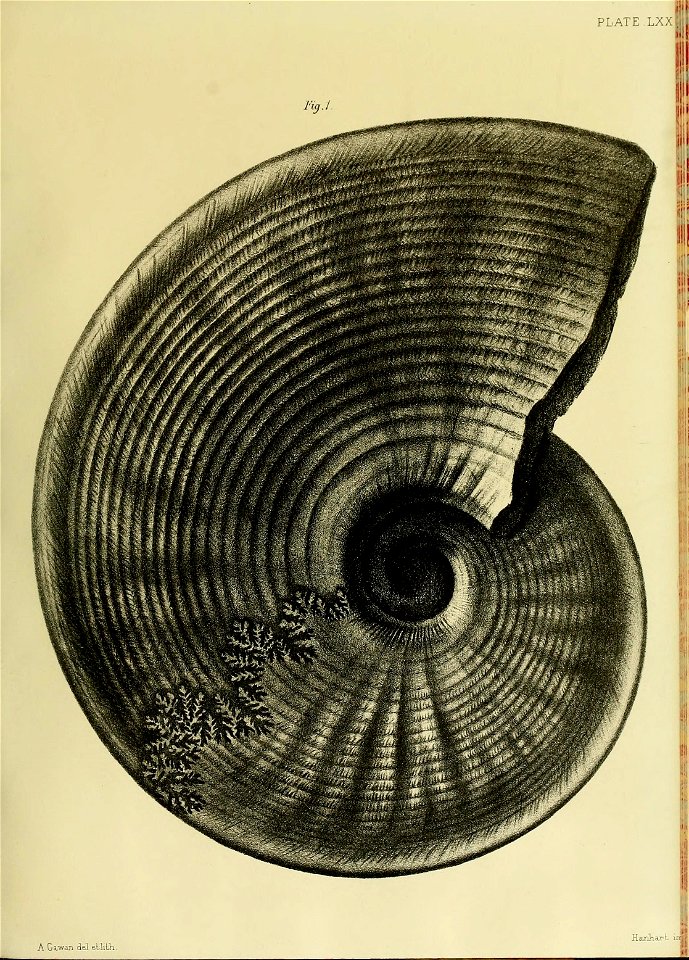 n296_w1150
