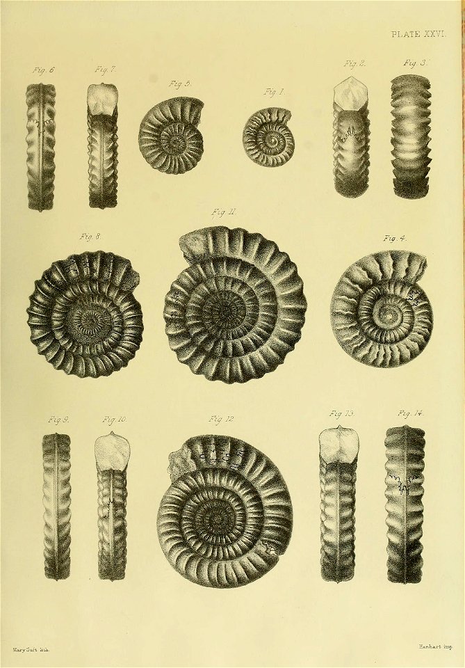 n116_w1150