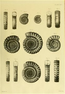 n116_w1150