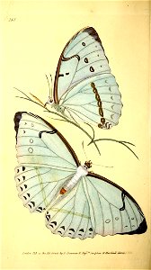 n187_w1150