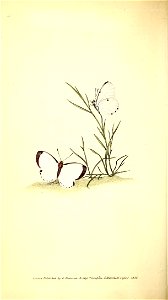 n127_w1150
