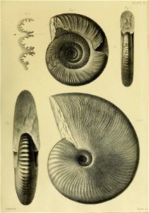 n172_w1150