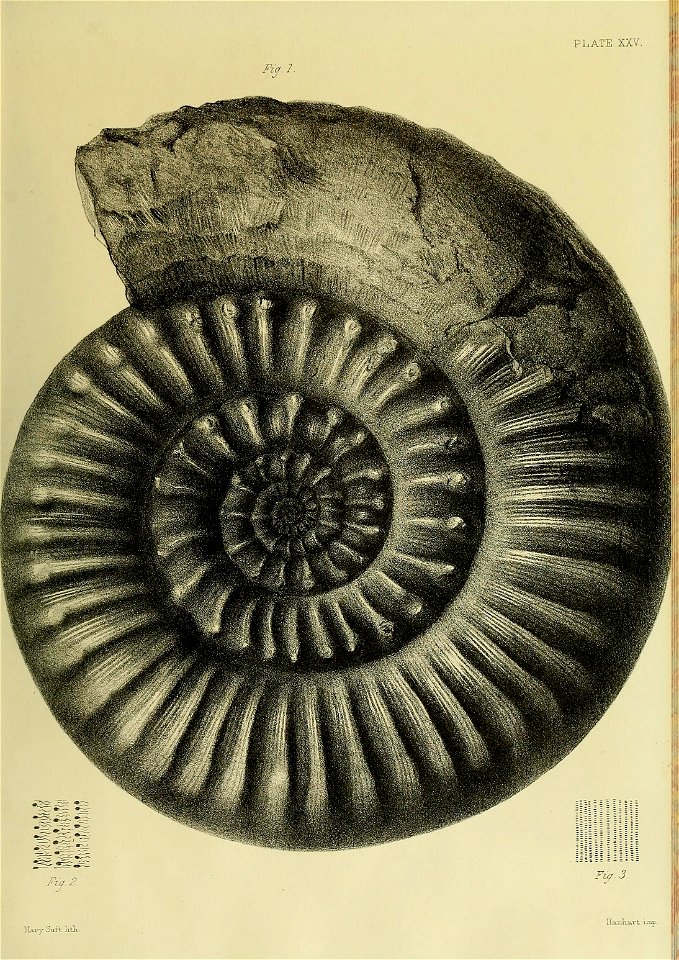 n112_w1150