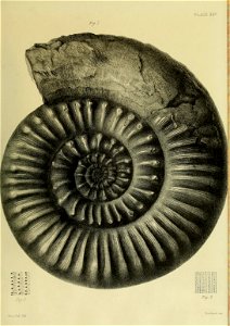 n112_w1150