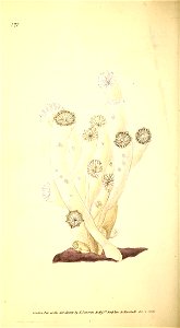 n105_w1150