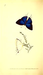 n129_w1150