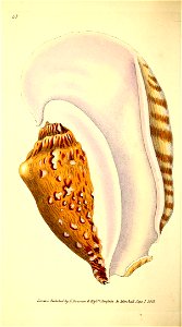 n123_w1150