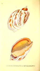 n285_w1150