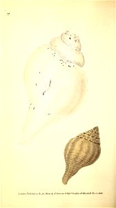 n179_w1150