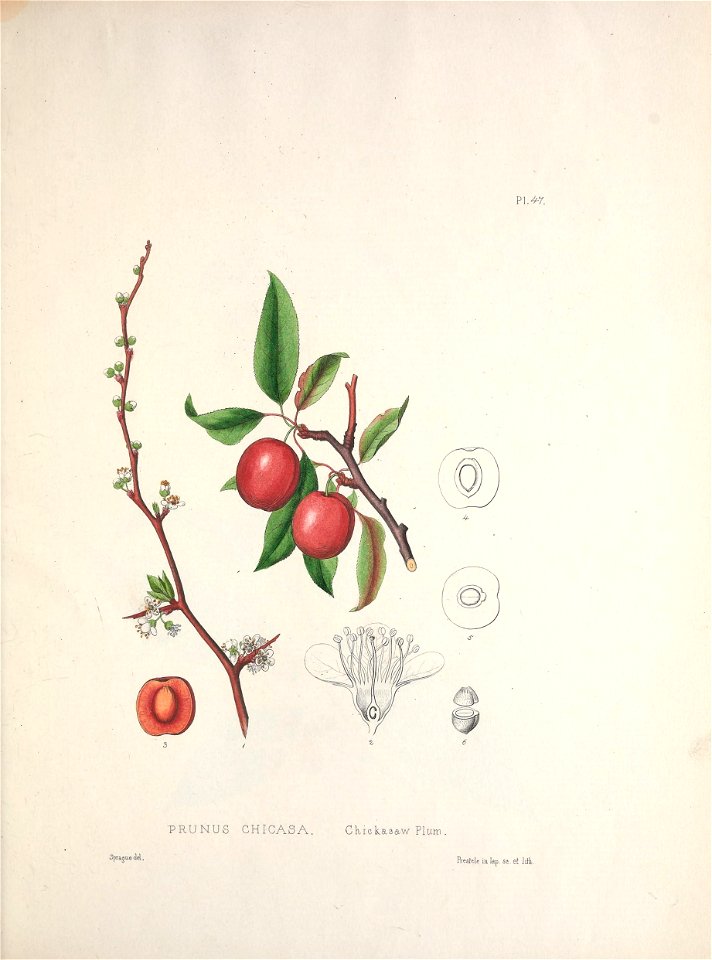 n46_w1150
