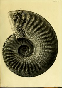 n228_w1150