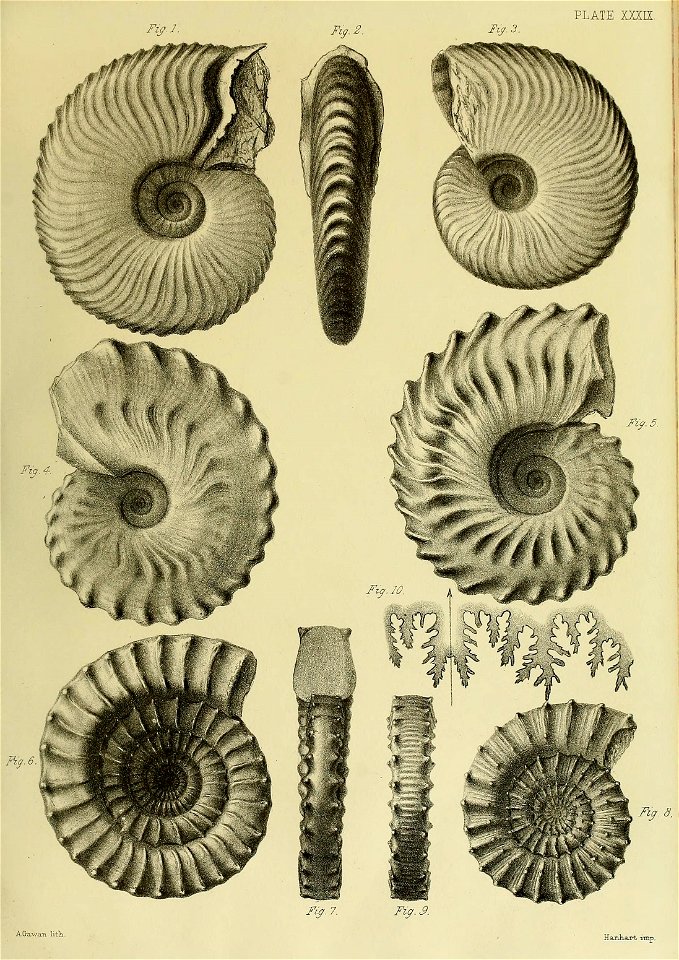 n168_w1150