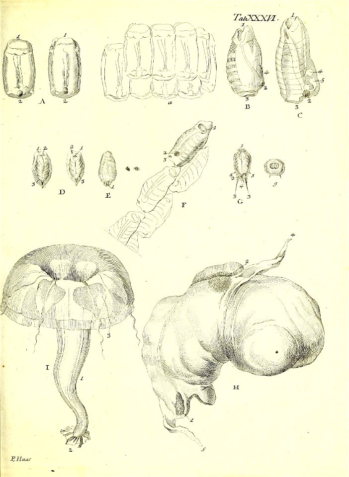 n180_w1150