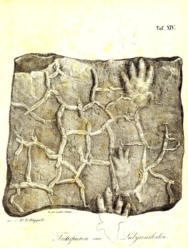 n360_w1150