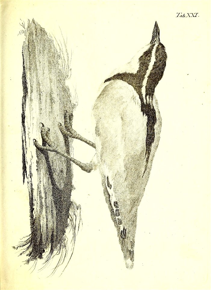 n120_w1150