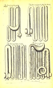 n504_w1150
