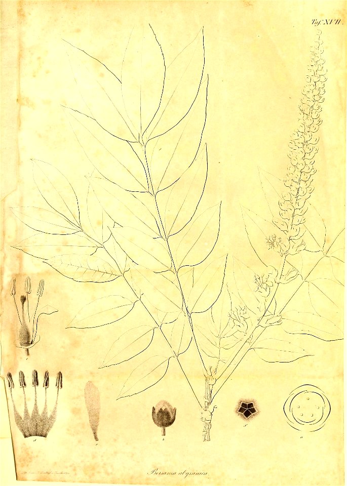 n354_w1150